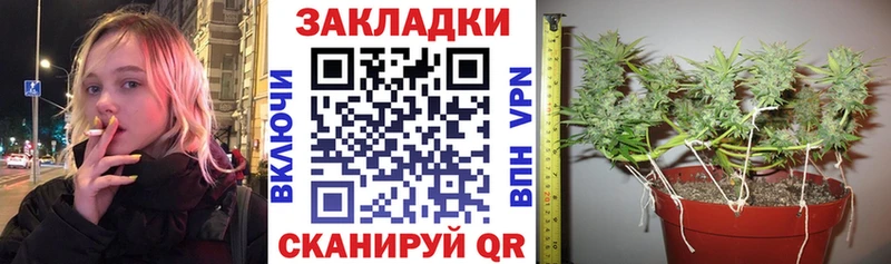 Наркотические вещества Малоярославец