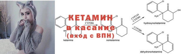 стафф Инта