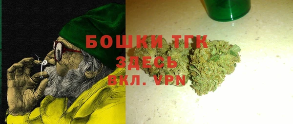 apvp Карпинск