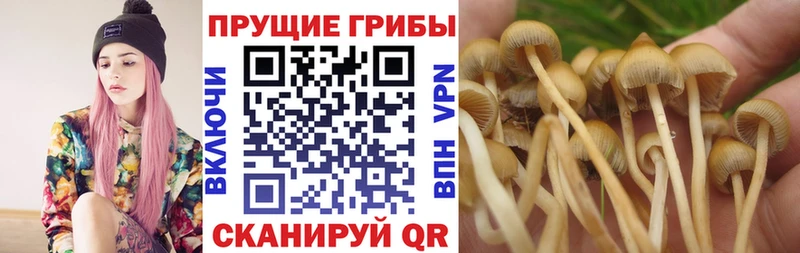 сайты даркнета клад  Малоярославец  Псилоцибиновые грибы MAGIC MUSHROOMS 