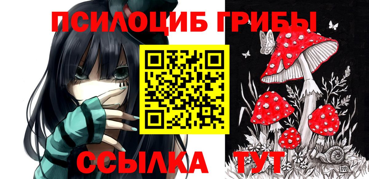 Малоярославец  Галлюциногенные грибы Magic Shrooms  Вход с VPN  Галлюциногенные грибы MAGIC MUSHROOMS 