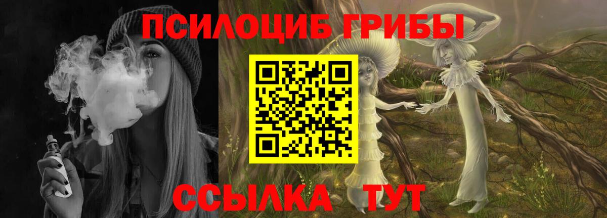 Псилоцибиновые грибы Psilocybe Малоярославец