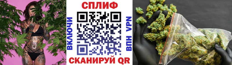 Шишки марихуана конопля Малоярославец